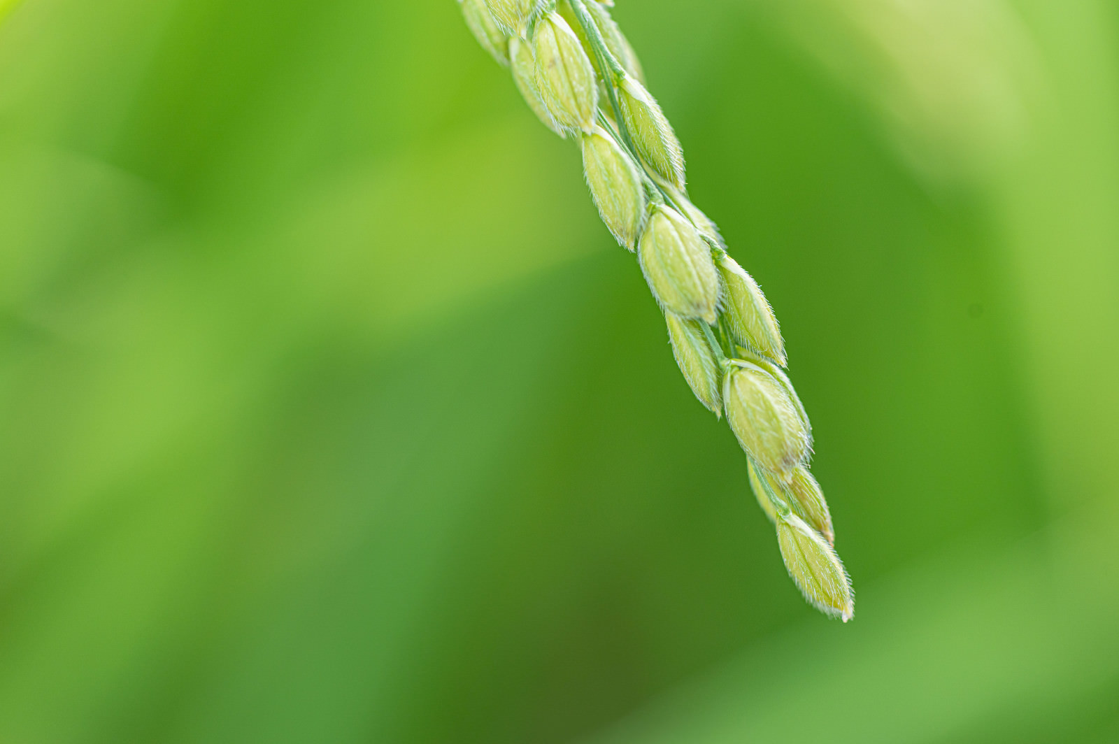 株式会社テスト東京都