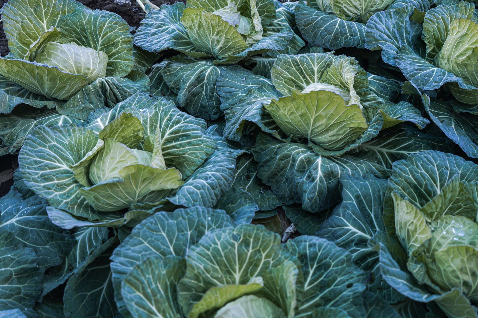 株式会社テスト鹿児島